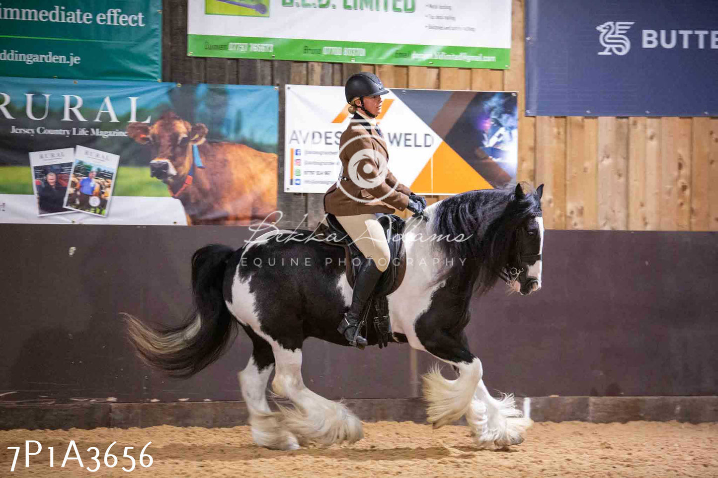 Home Farm Funshine Show 2024 - Ridden Showing 15th September