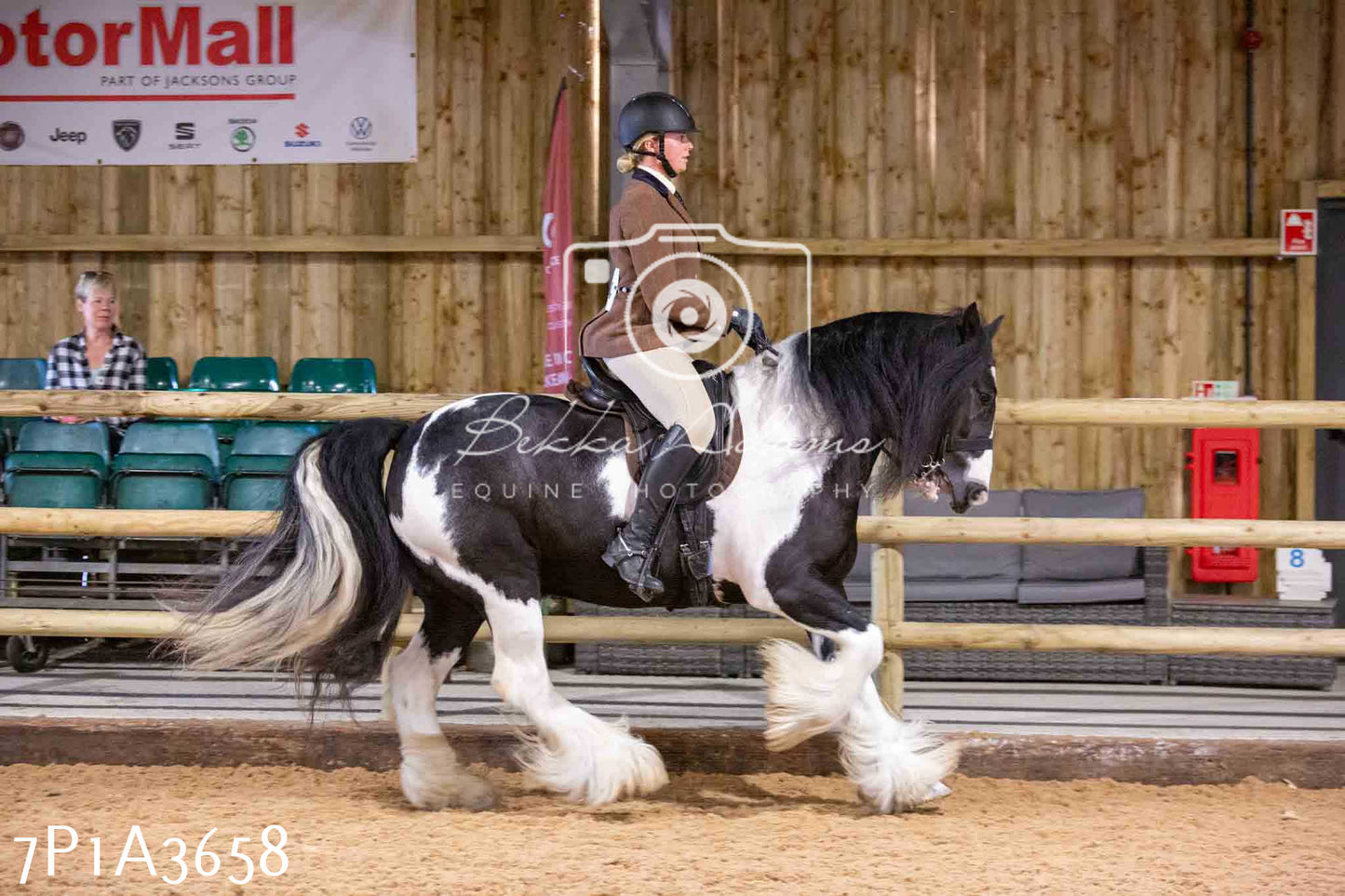 Home Farm Funshine Show 2024 - Ridden Showing 15th September