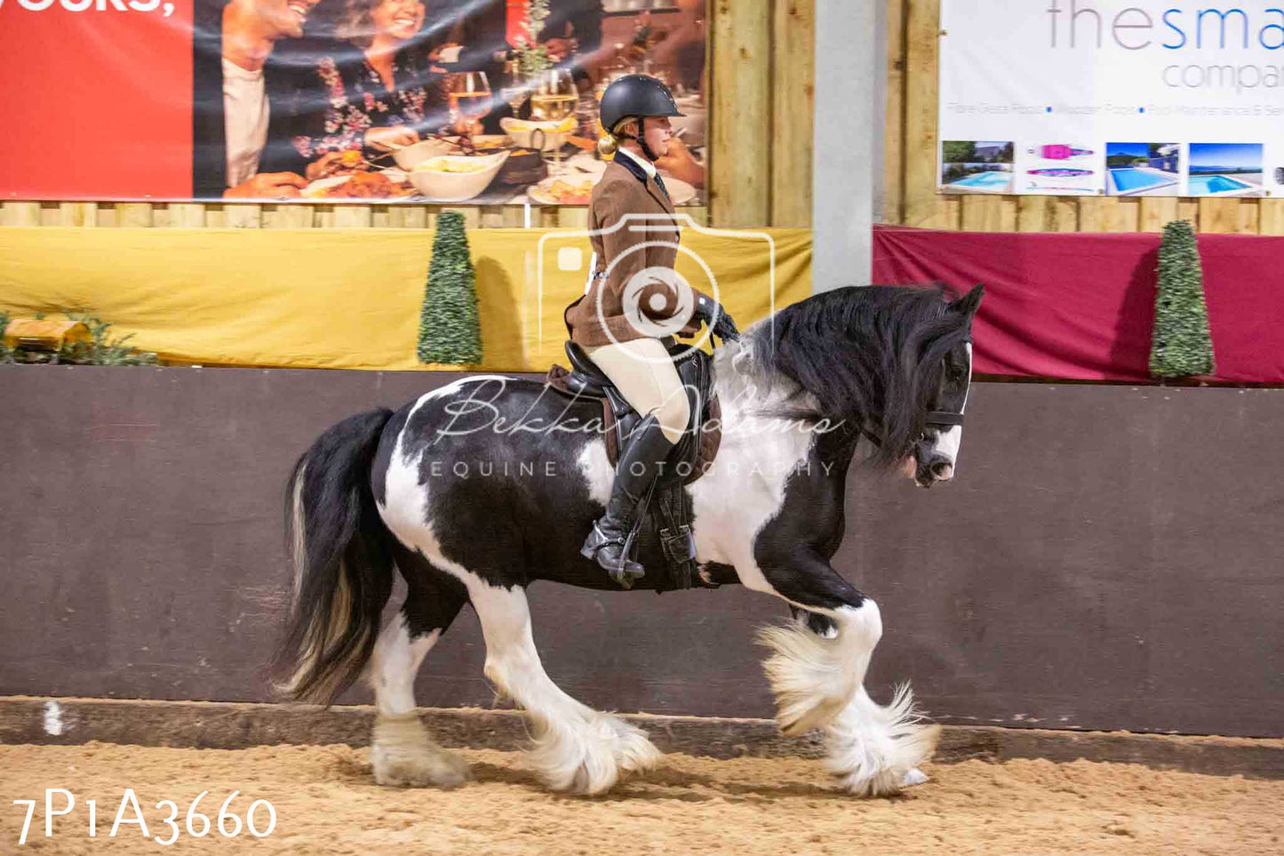 Home Farm Funshine Show 2024 - Ridden Showing 15th September