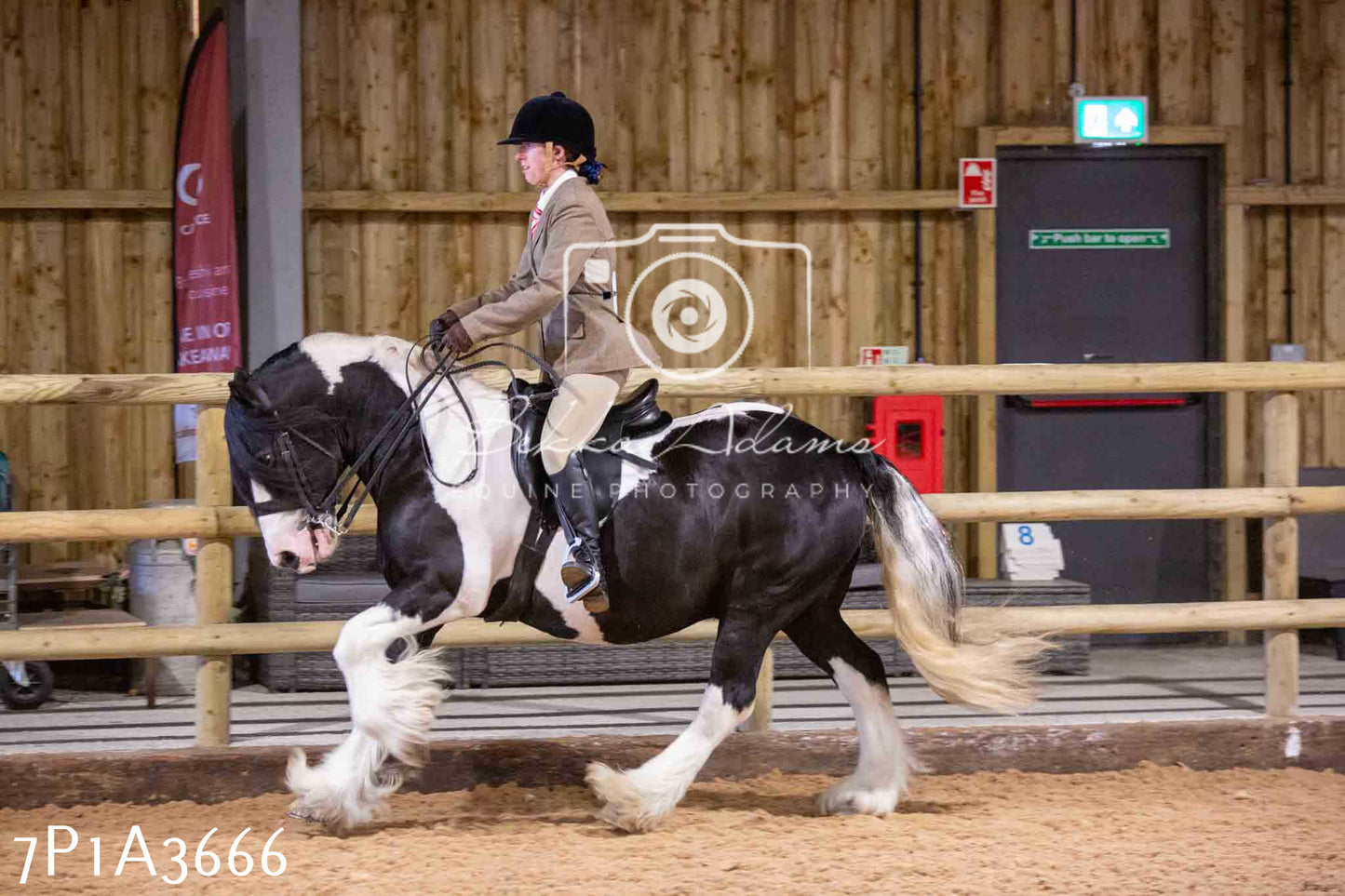 Home Farm Funshine Show 2024 - Ridden Showing 15th September