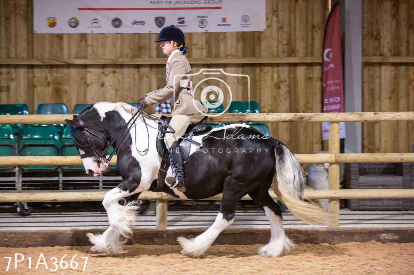 Home Farm Funshine Show 2024 - Ridden Showing 15th September