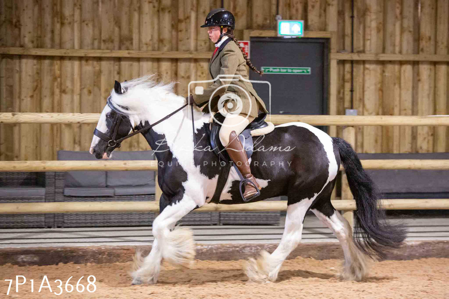 Home Farm Funshine Show 2024 - Ridden Showing 15th September