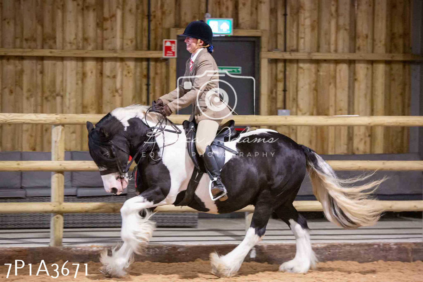 Home Farm Funshine Show 2024 - Ridden Showing 15th September