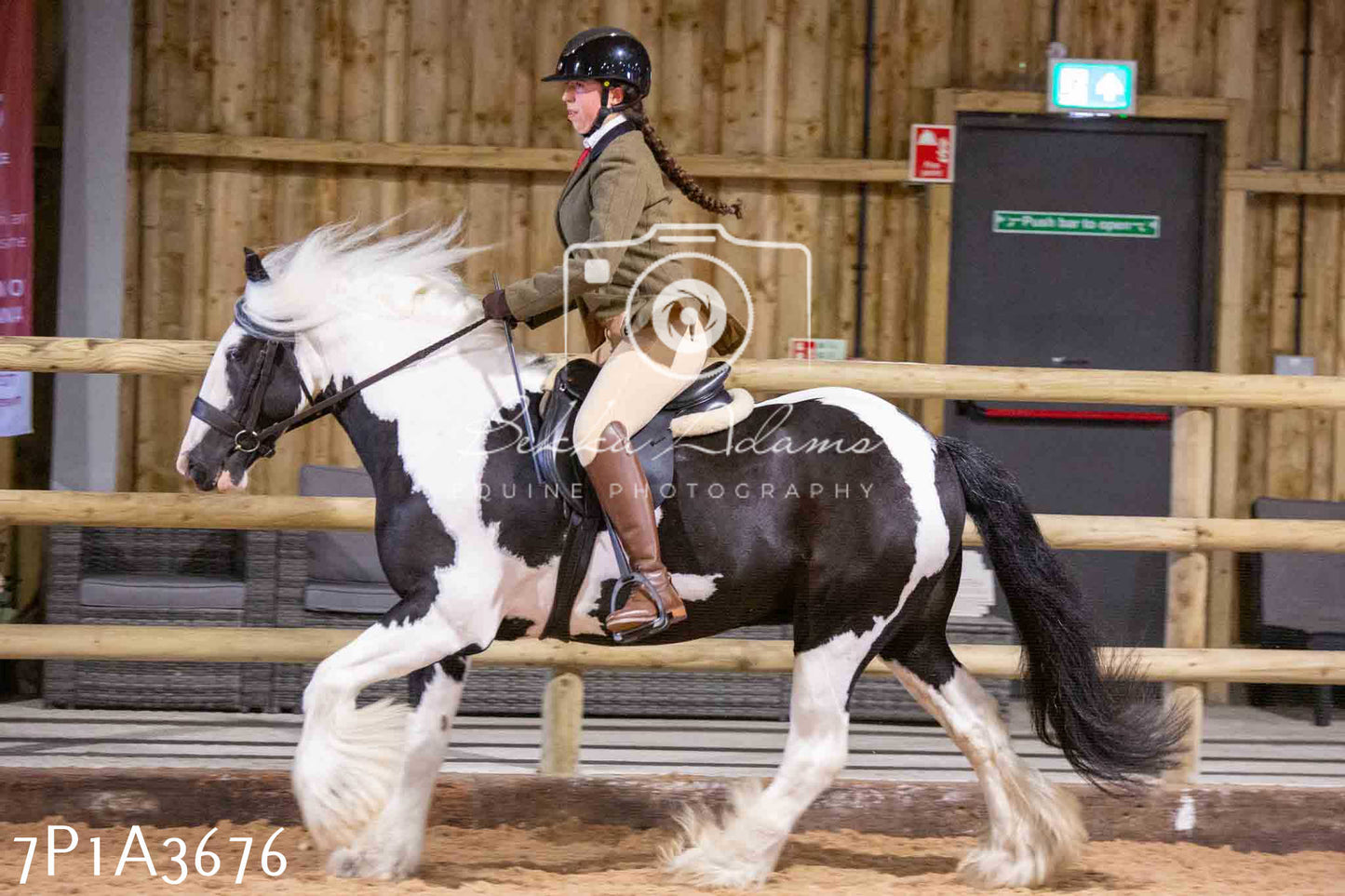 Home Farm Funshine Show 2024 - Ridden Showing 15th September