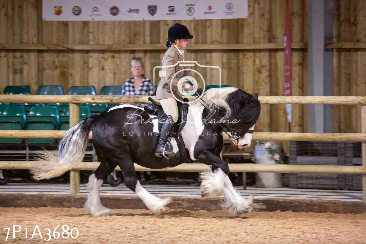 Home Farm Funshine Show 2024 - Ridden Showing 15th September