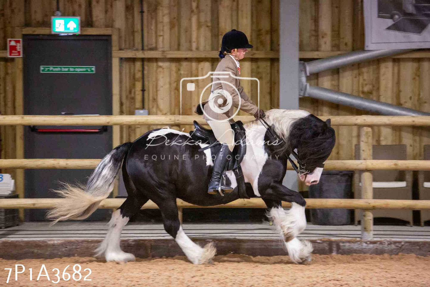 Home Farm Funshine Show 2024 - Ridden Showing 15th September