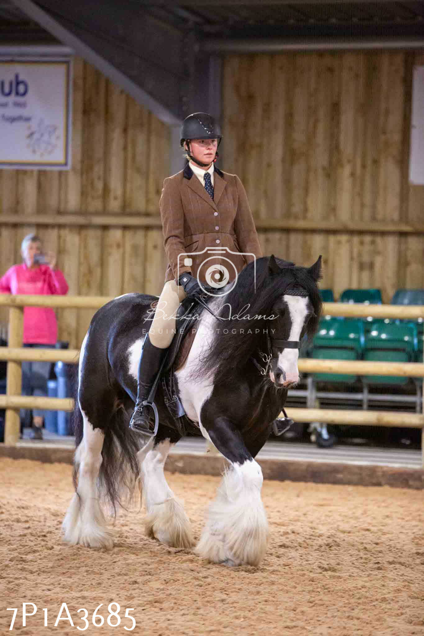 Home Farm Funshine Show 2024 - Ridden Showing 15th September