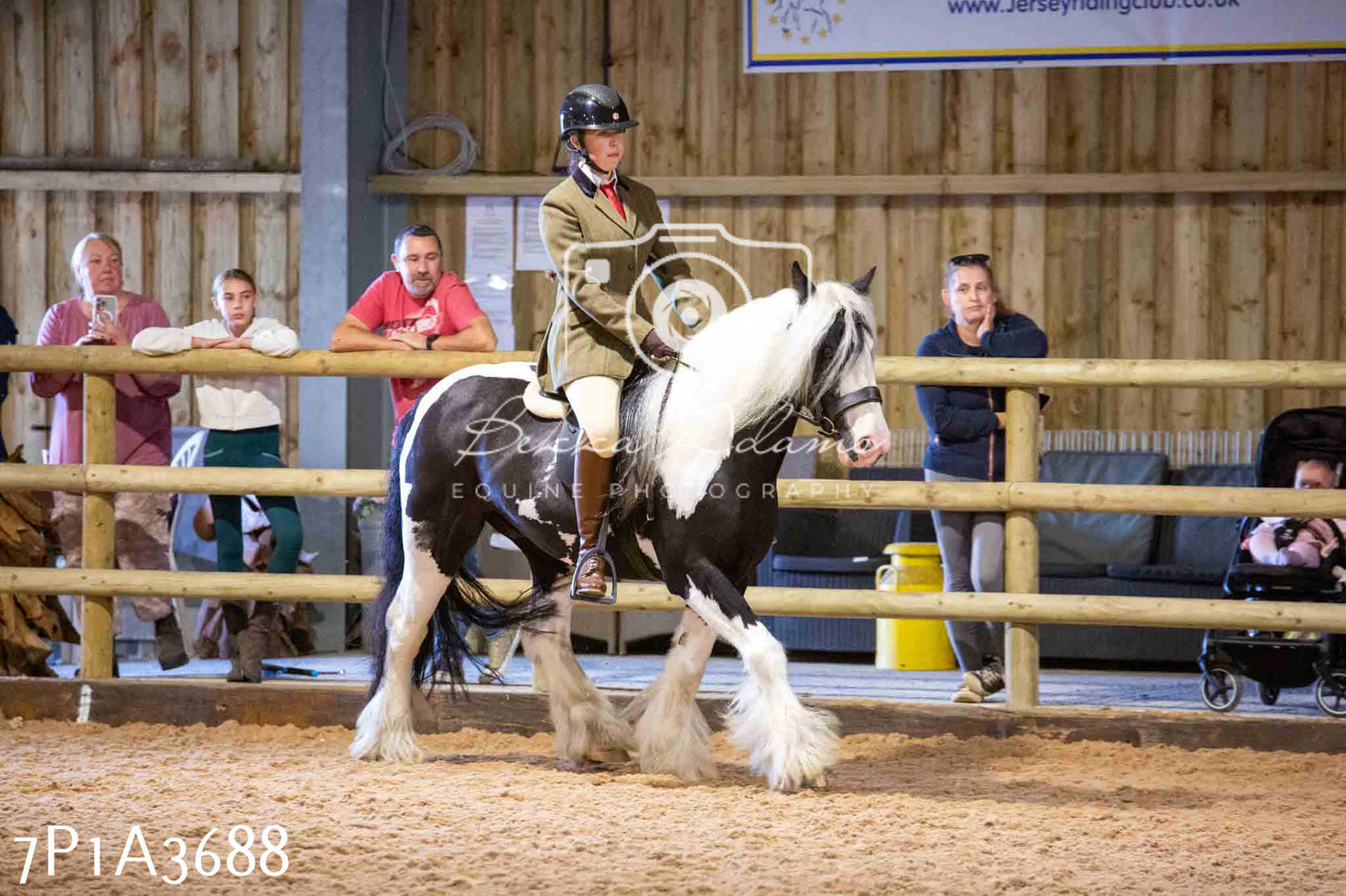 Home Farm Funshine Show 2024 - Ridden Showing 15th September