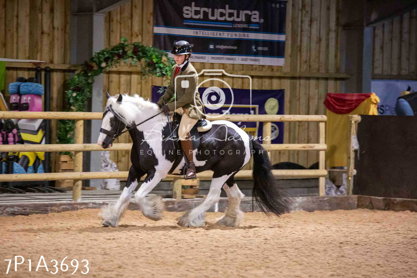 Home Farm Funshine Show 2024 - Ridden Showing 15th September