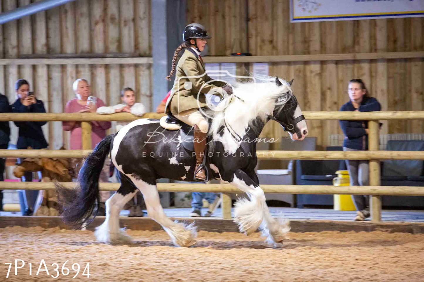 Home Farm Funshine Show 2024 - Ridden Showing 15th September