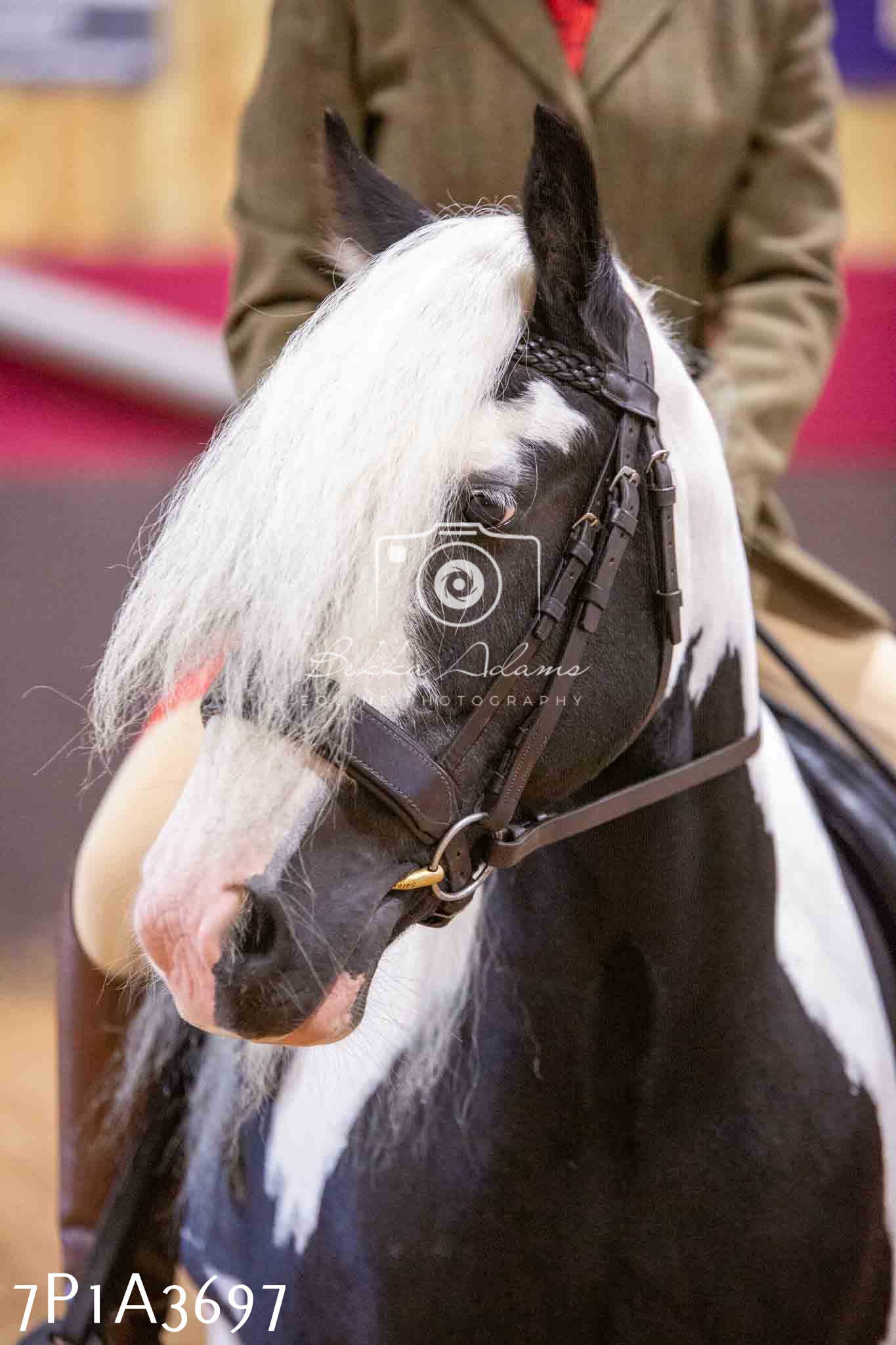 Home Farm Funshine Show 2024 - Ridden Showing 15th September