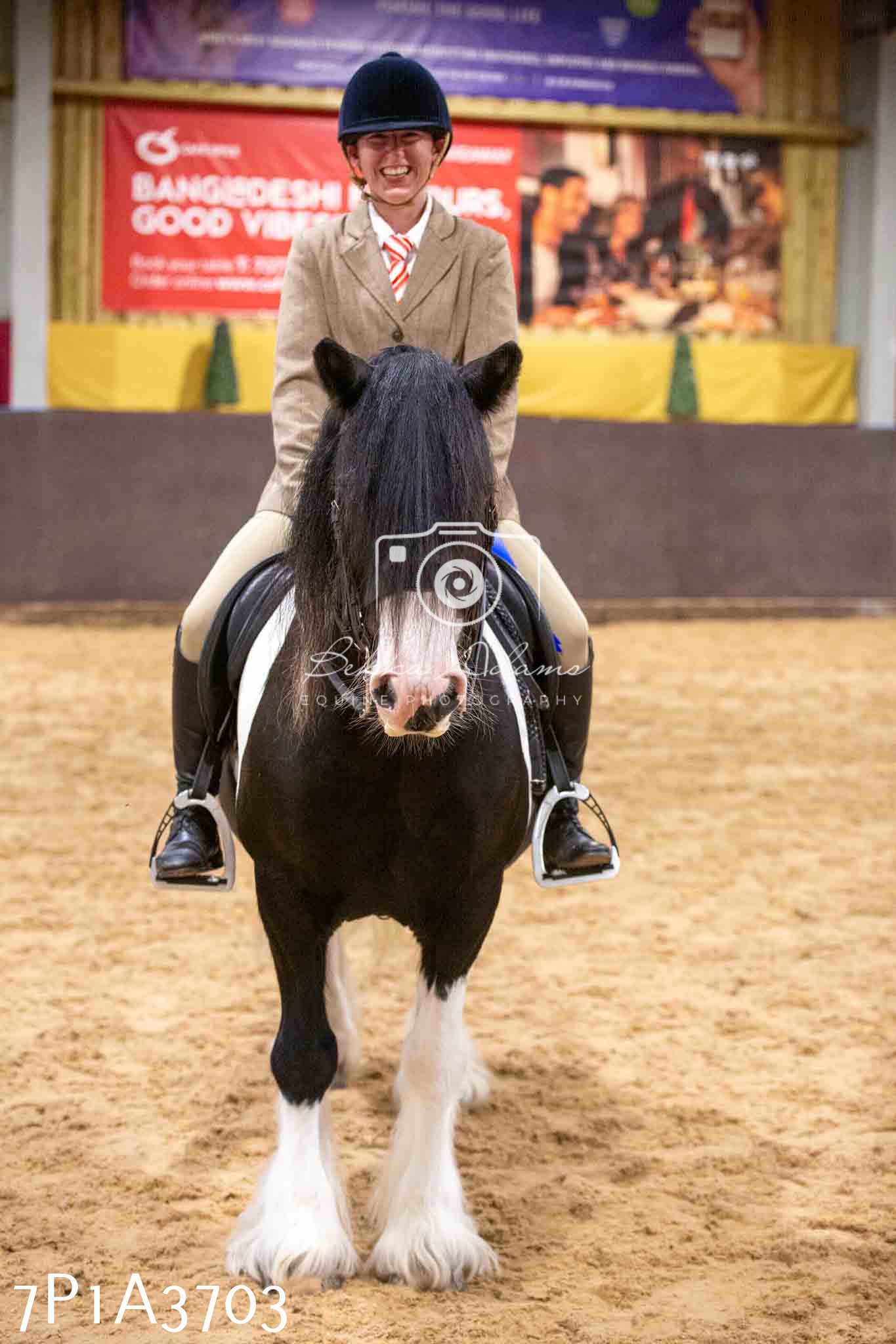 Home Farm Funshine Show 2024 - Ridden Showing 15th September