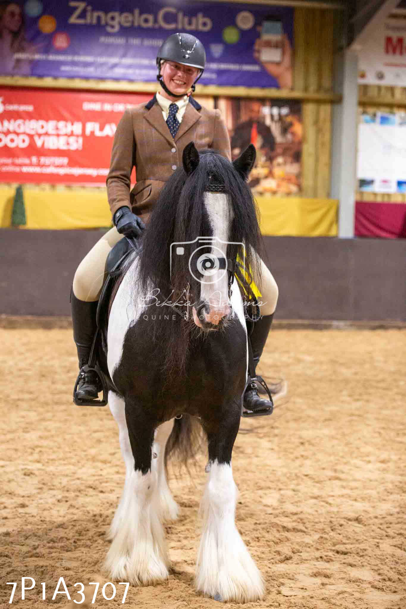 Home Farm Funshine Show 2024 - Ridden Showing 15th September