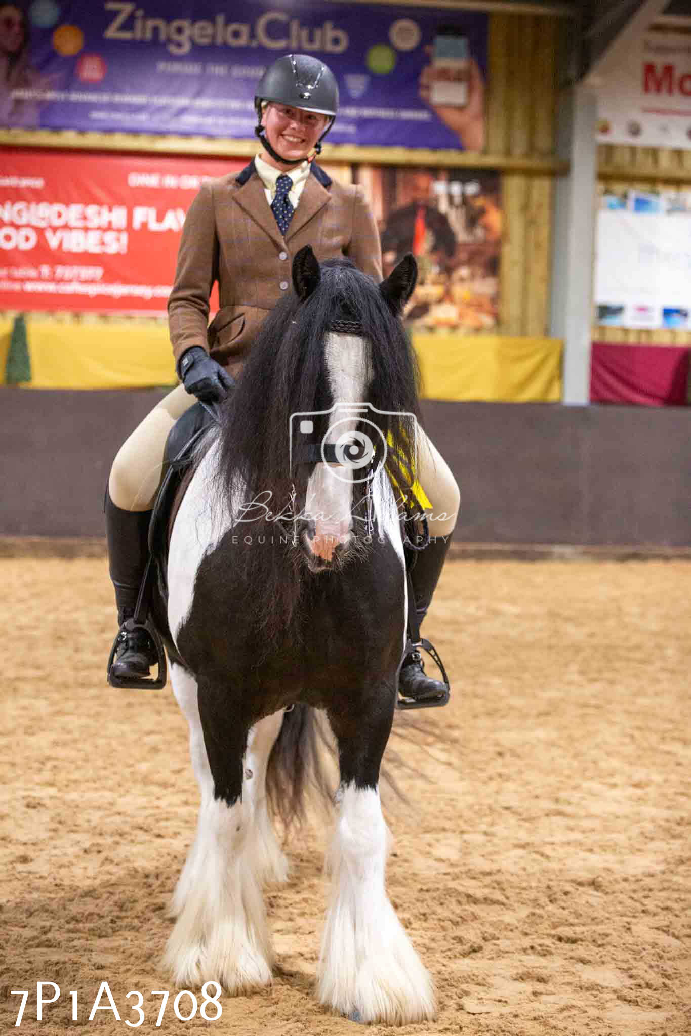 Home Farm Funshine Show 2024 - Ridden Showing 15th September