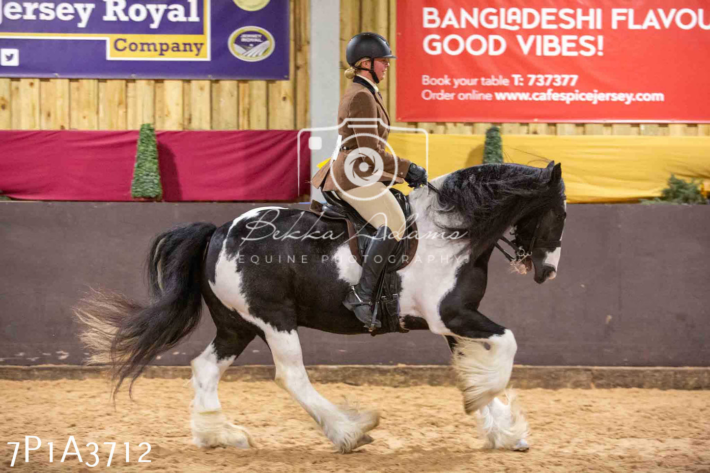 Home Farm Funshine Show 2024 - Ridden Showing 15th September