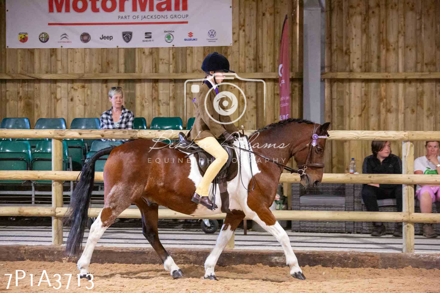 Home Farm Funshine Show 2024 - Ridden Showing 15th September