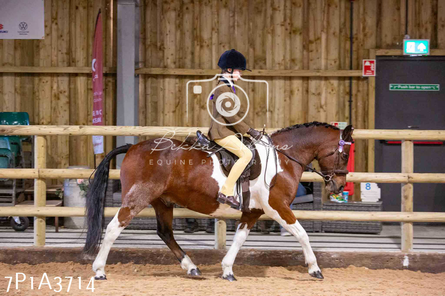 Home Farm Funshine Show 2024 - Ridden Showing 15th September