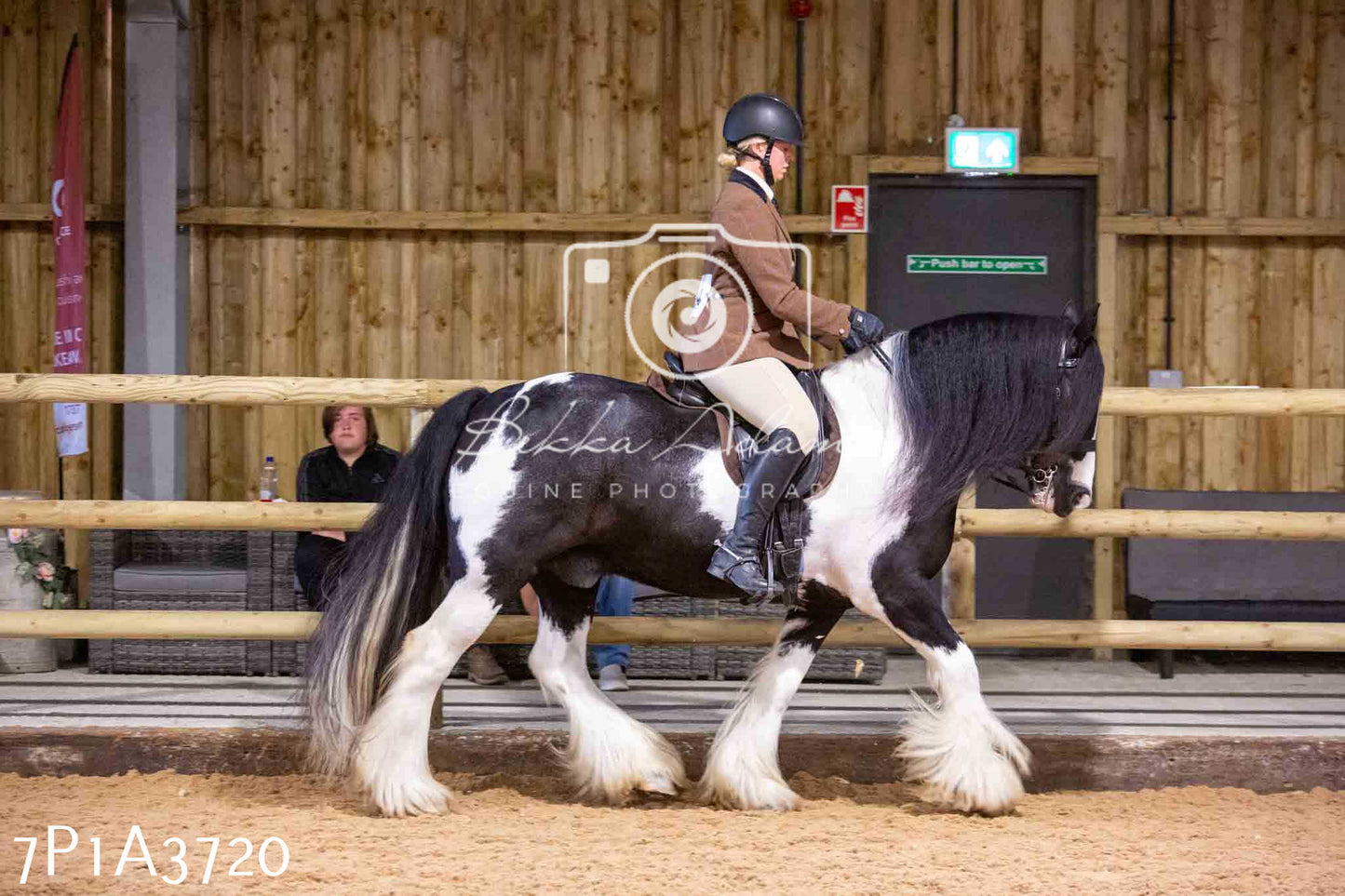 Home Farm Funshine Show 2024 - Ridden Showing 15th September