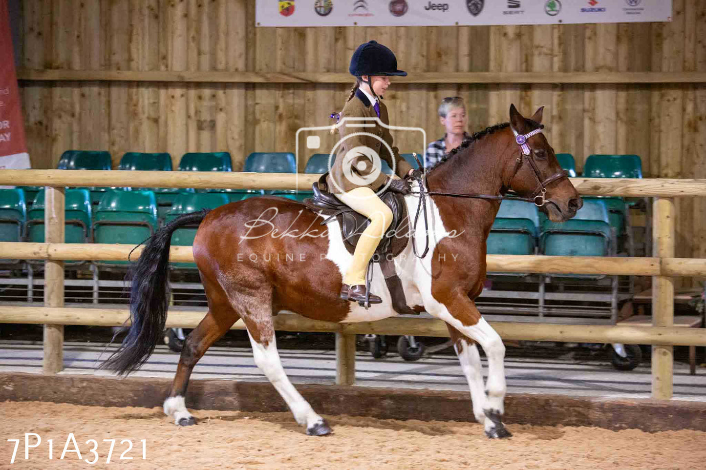 Home Farm Funshine Show 2024 - Ridden Showing 15th September