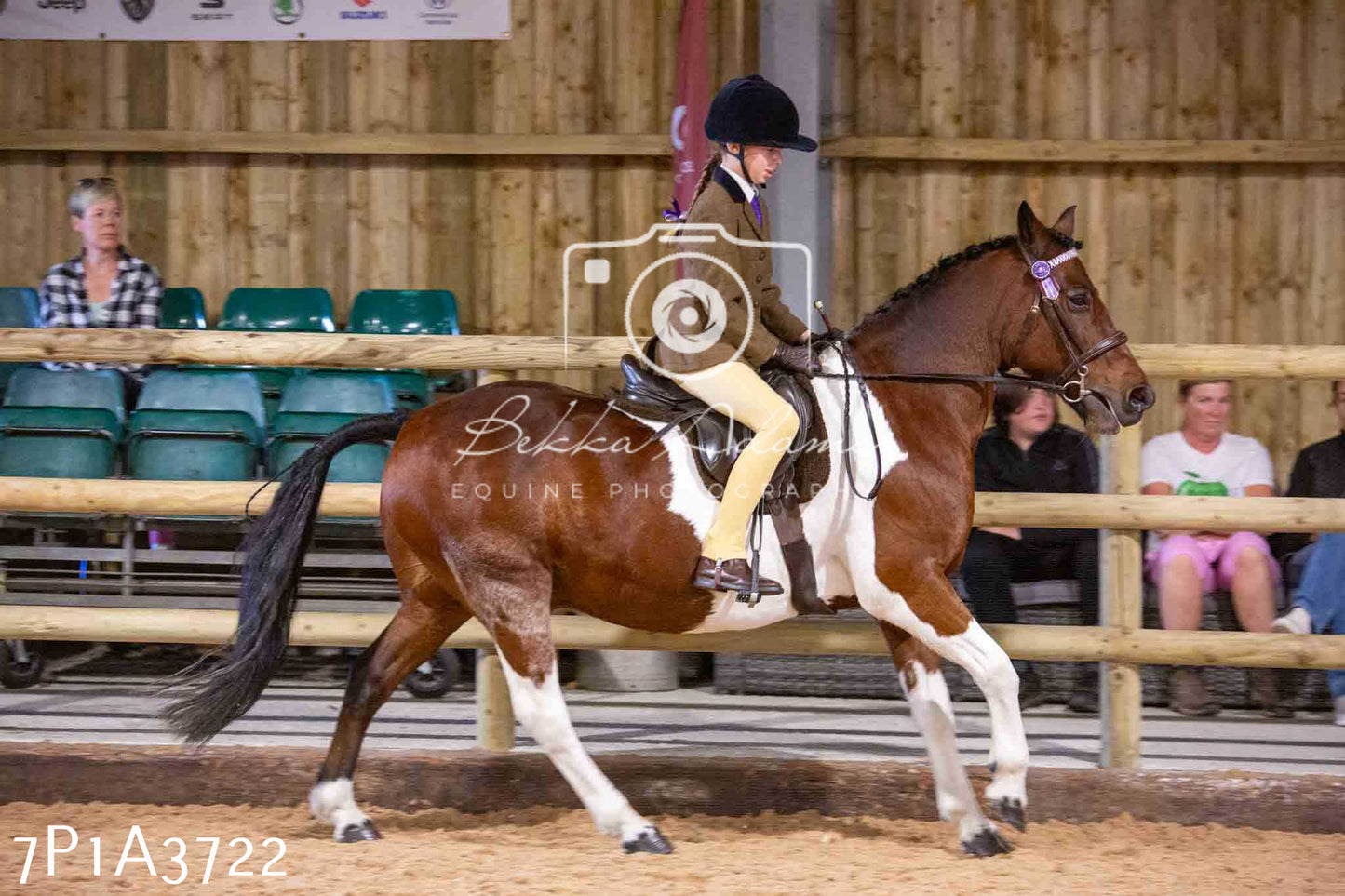 Home Farm Funshine Show 2024 - Ridden Showing 15th September