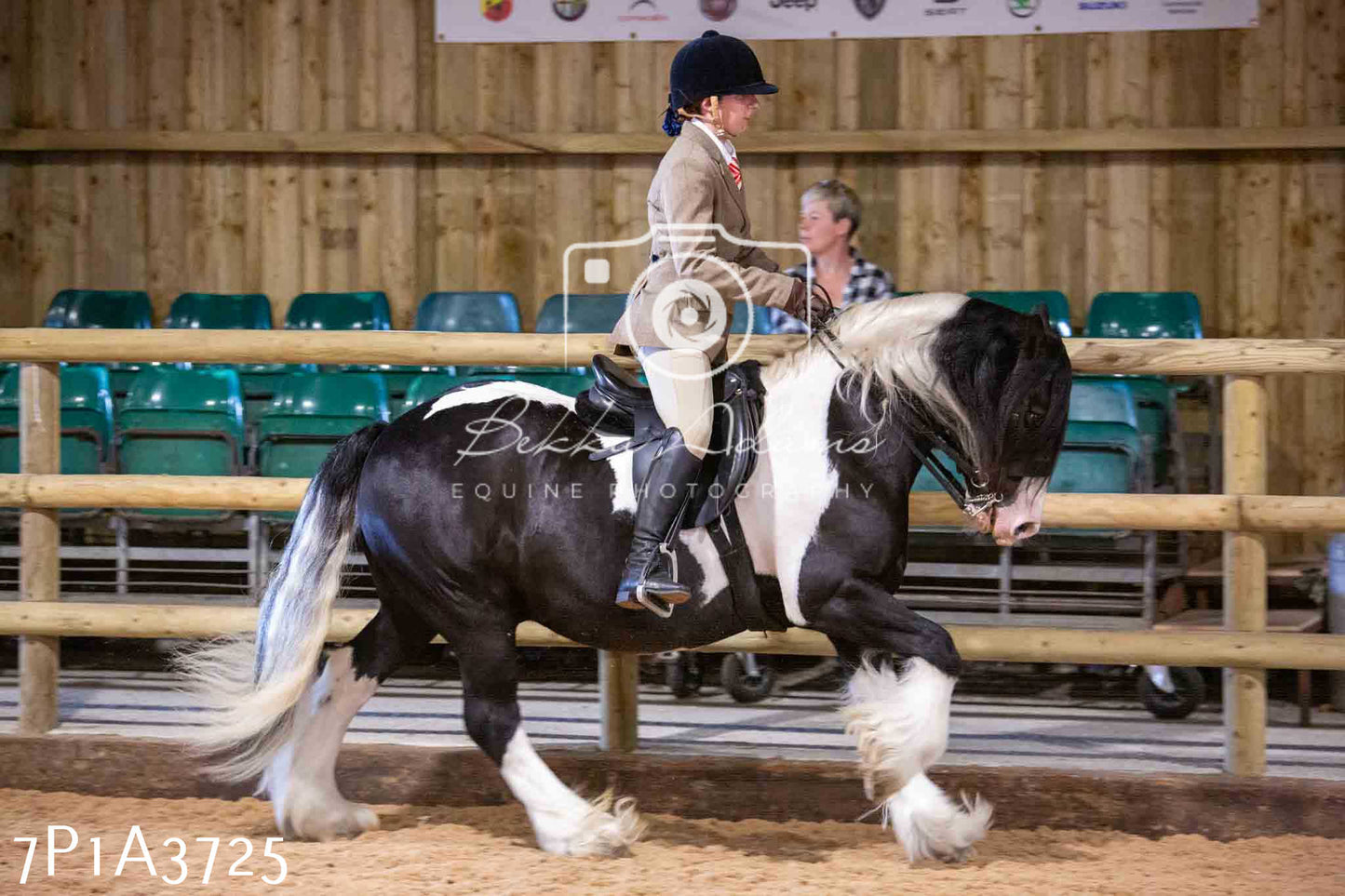 Home Farm Funshine Show 2024 - Ridden Showing 15th September