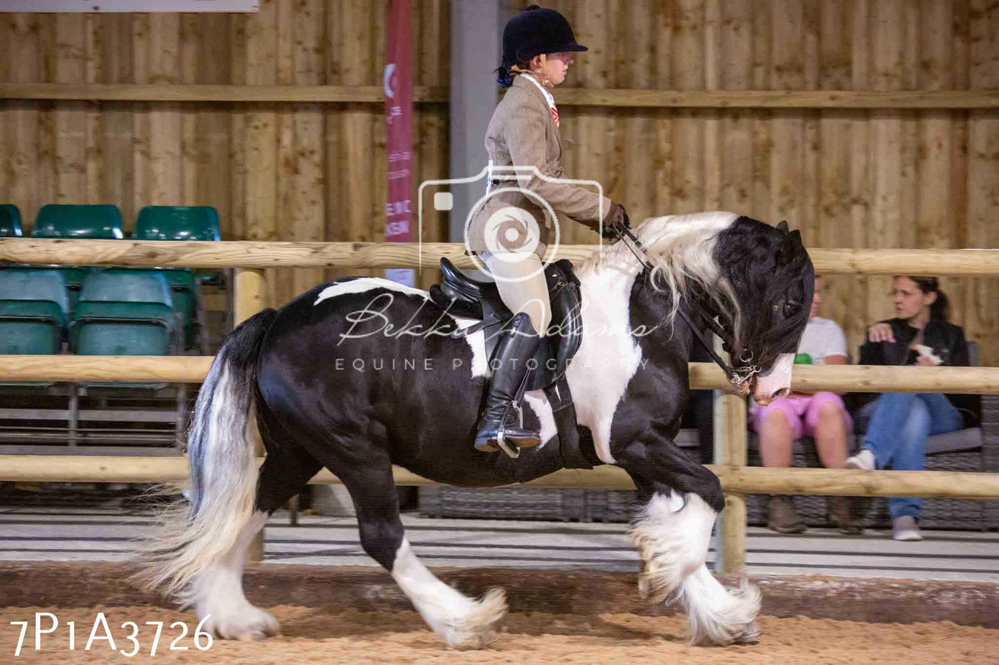 Home Farm Funshine Show 2024 - Ridden Showing 15th September