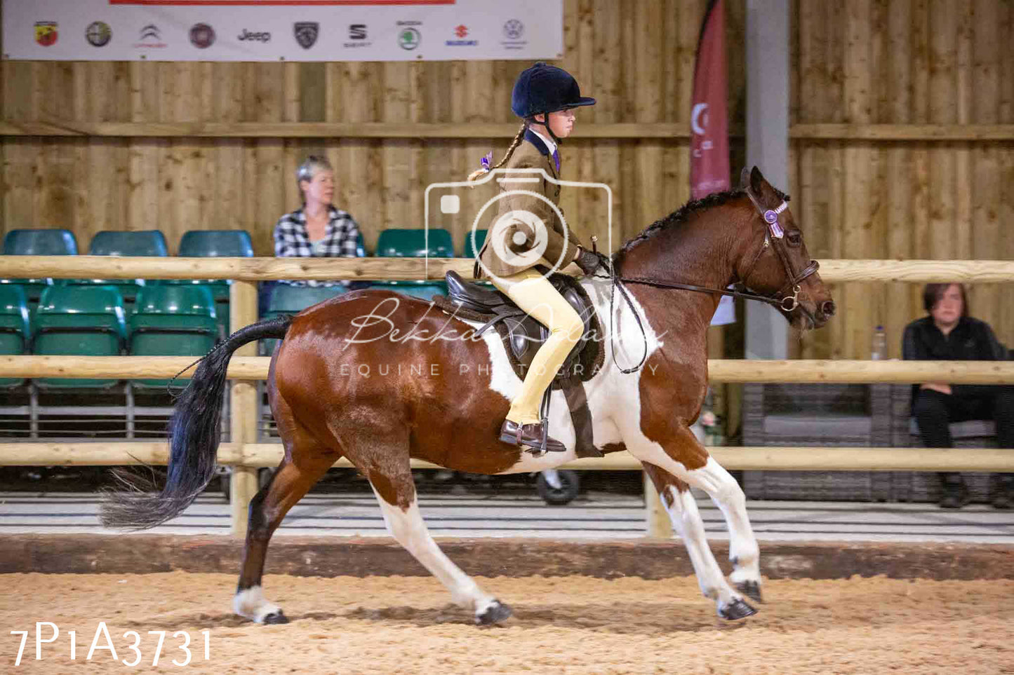 Home Farm Funshine Show 2024 - Ridden Showing 15th September