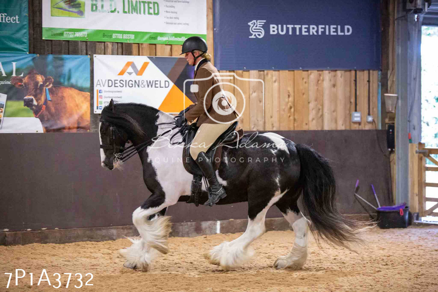 Home Farm Funshine Show 2024 - Ridden Showing 15th September