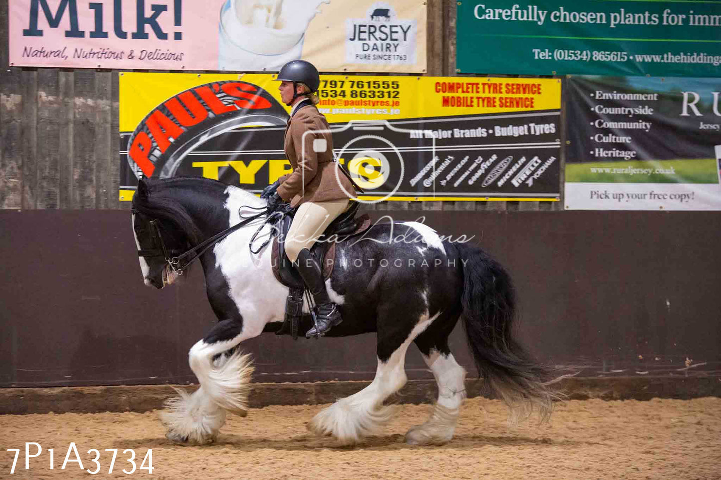 Home Farm Funshine Show 2024 - Ridden Showing 15th September