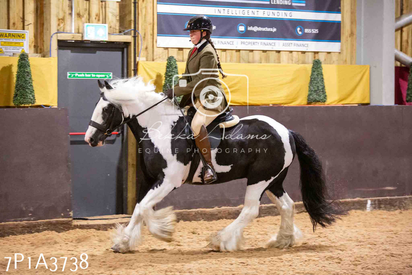 Home Farm Funshine Show 2024 - Ridden Showing 15th September