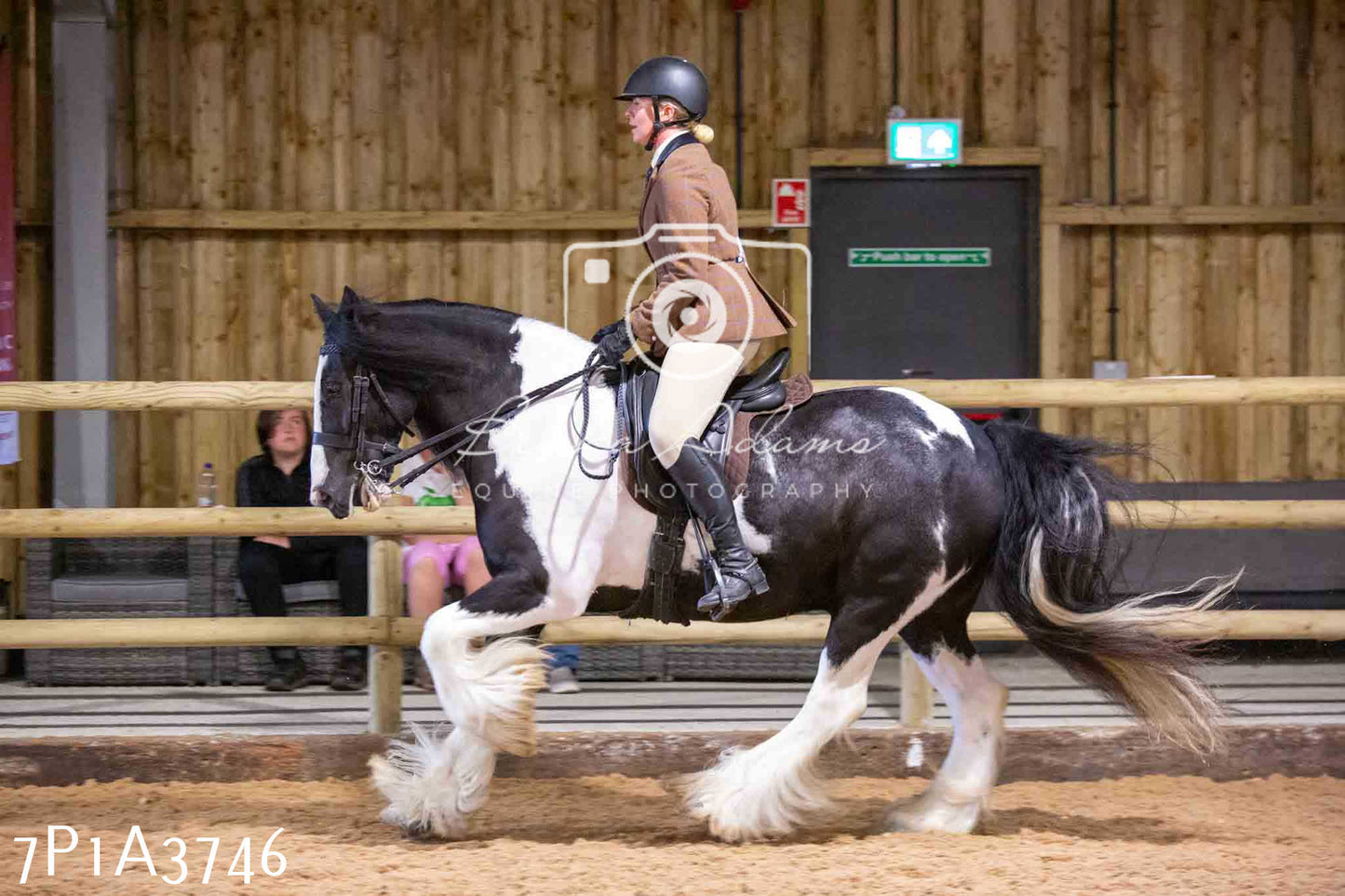 Home Farm Funshine Show 2024 - Ridden Showing 15th September