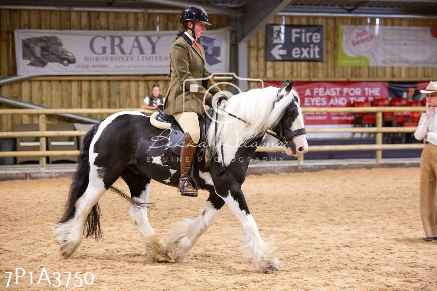 Home Farm Funshine Show 2024 - Ridden Showing 15th September