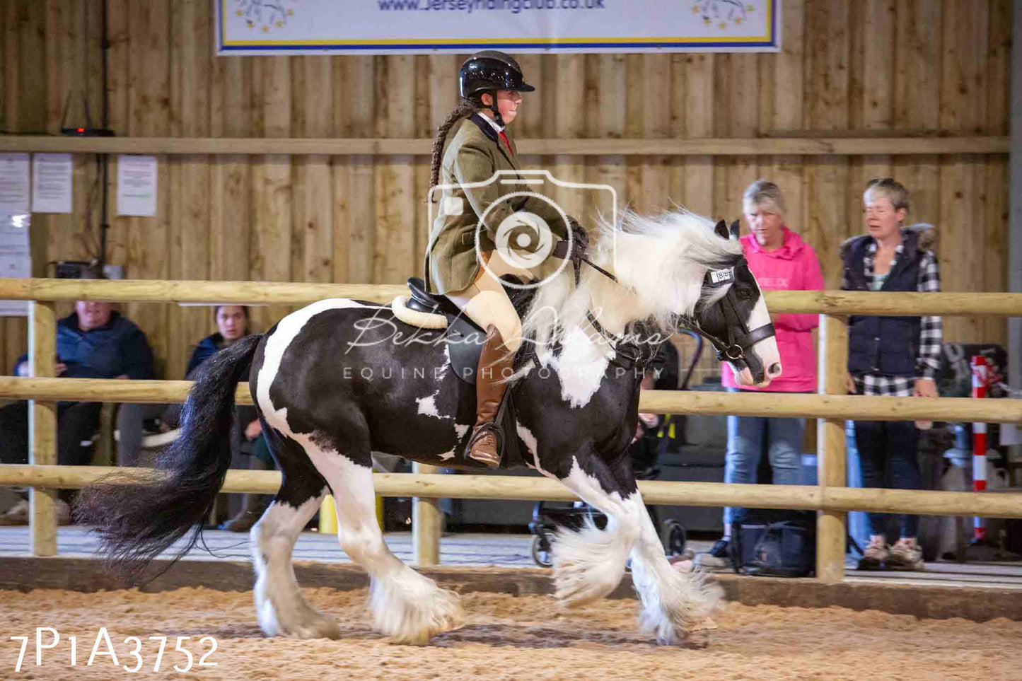 Home Farm Funshine Show 2024 - Ridden Showing 15th September