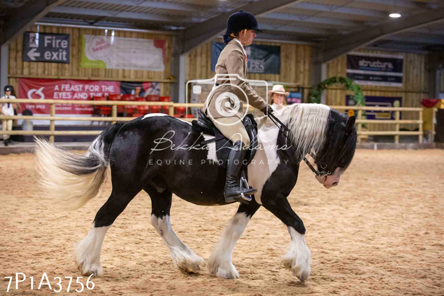 Home Farm Funshine Show 2024 - Ridden Showing 15th September