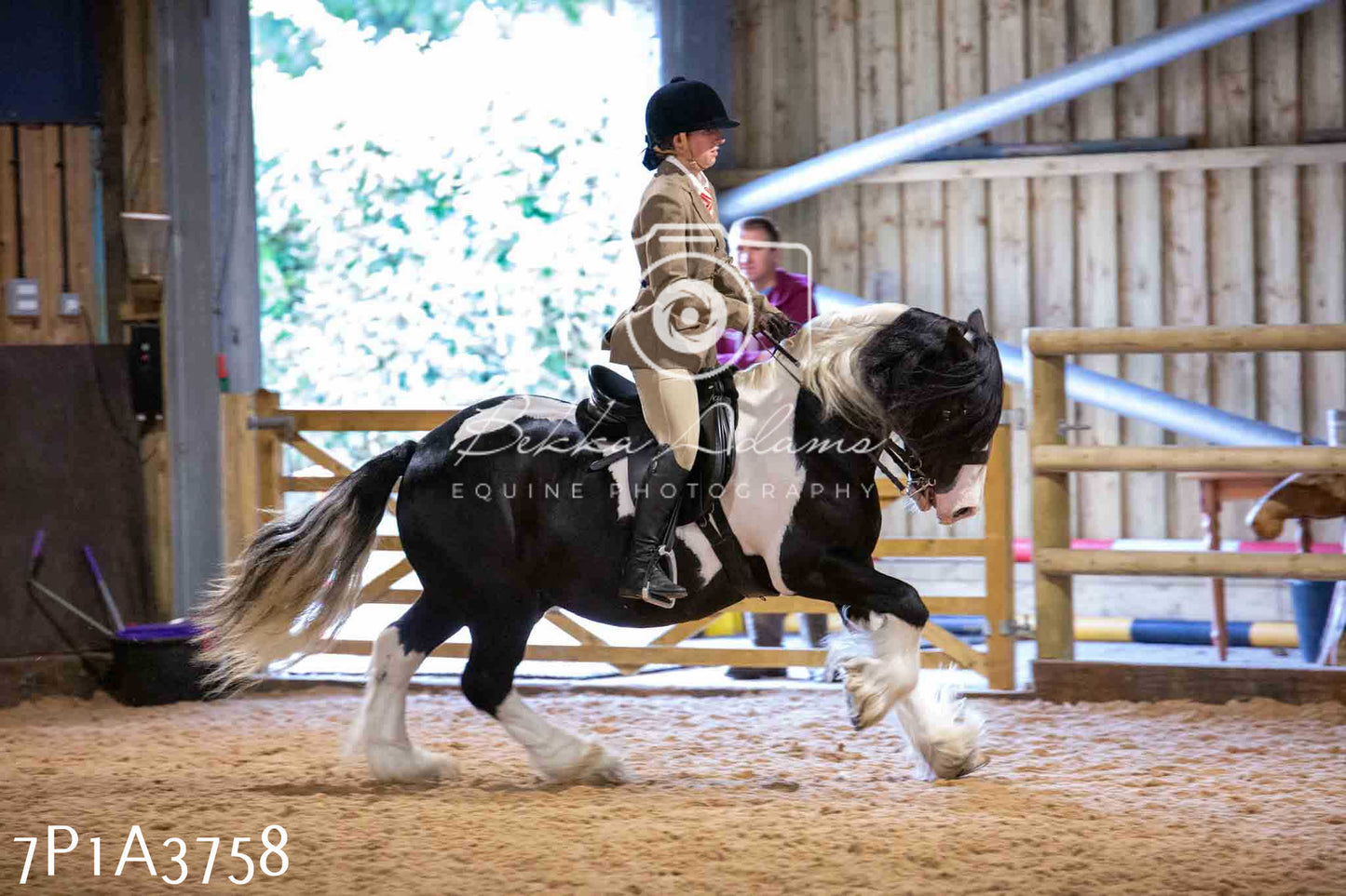 Home Farm Funshine Show 2024 - Ridden Showing 15th September