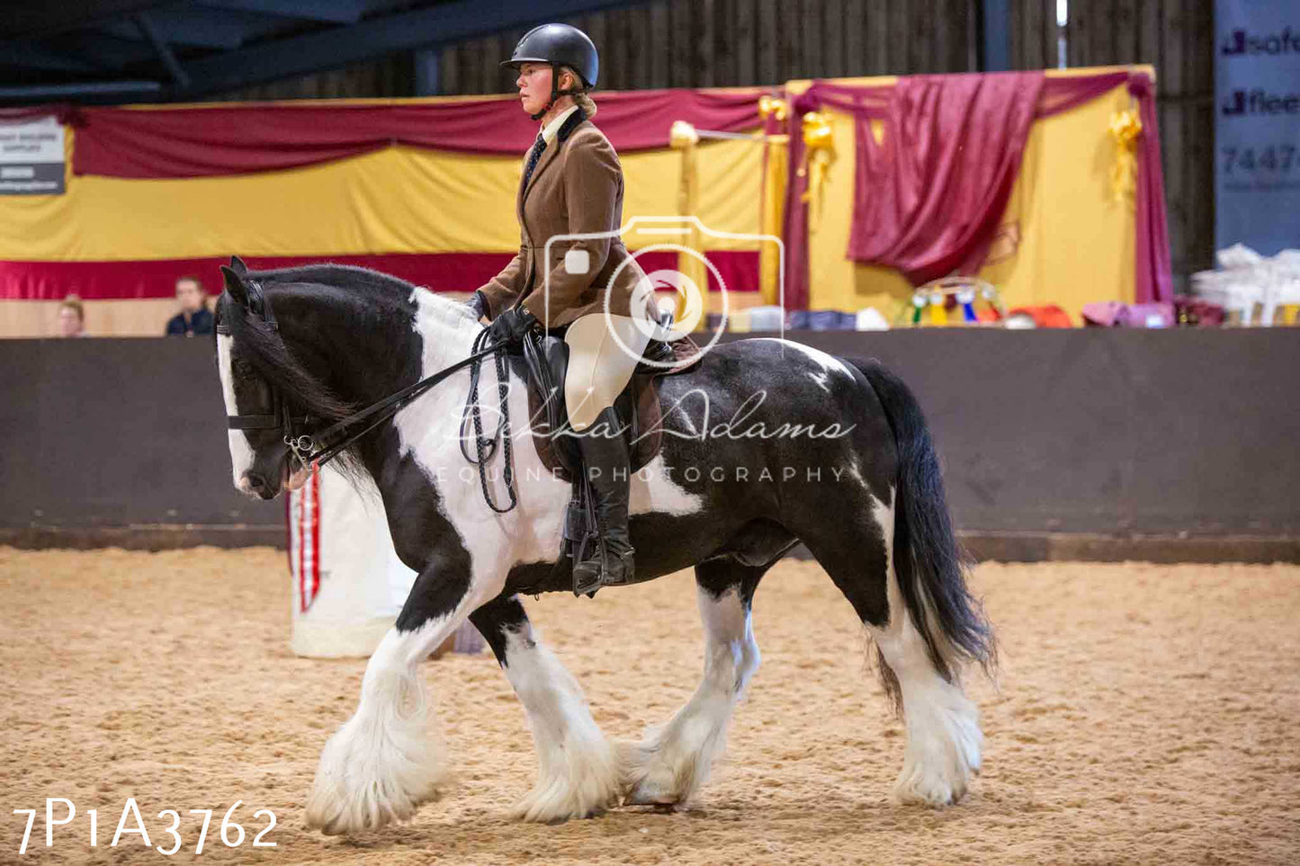 Home Farm Funshine Show 2024 - Ridden Showing 15th September