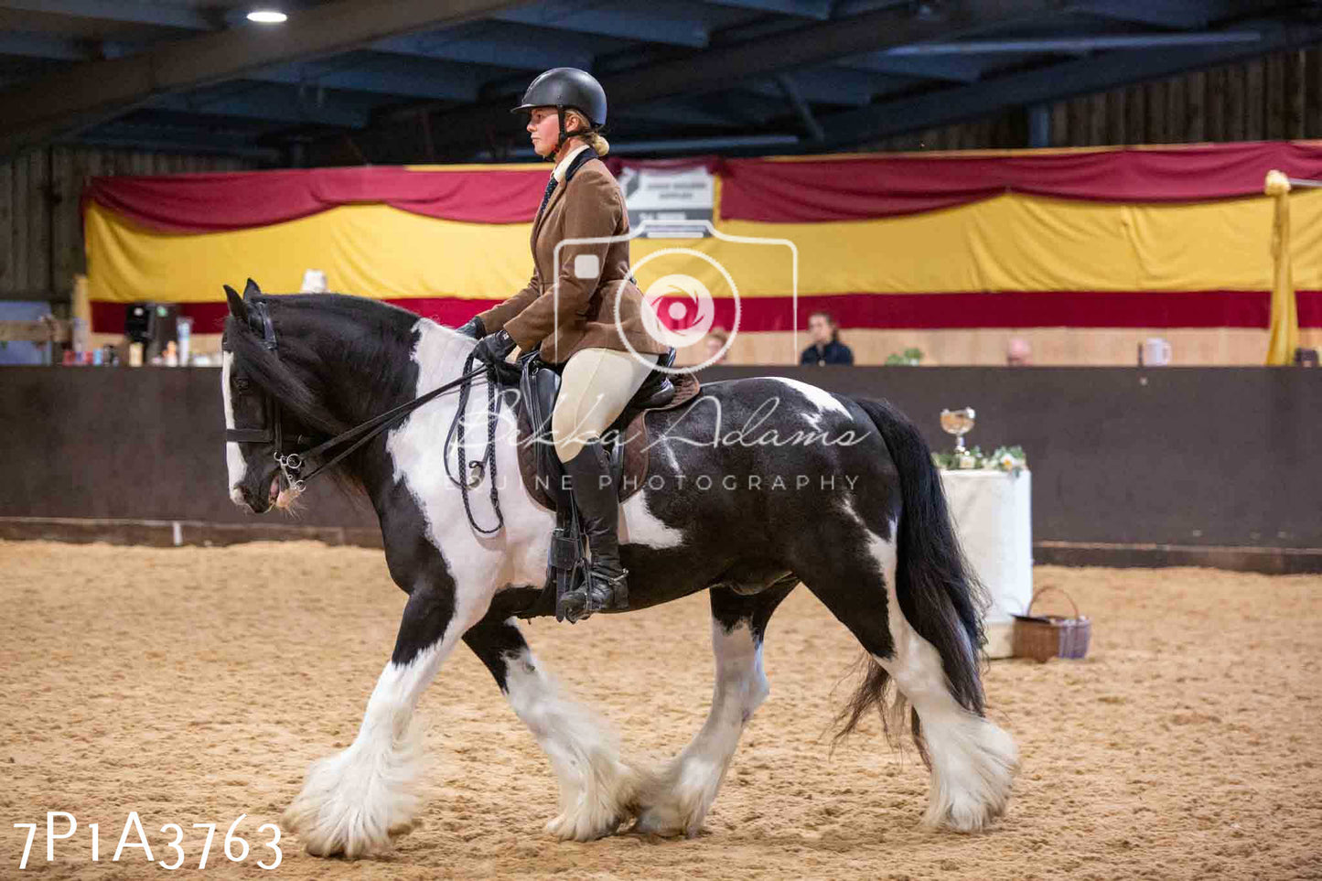 Home Farm Funshine Show 2024 - Ridden Showing 15th September