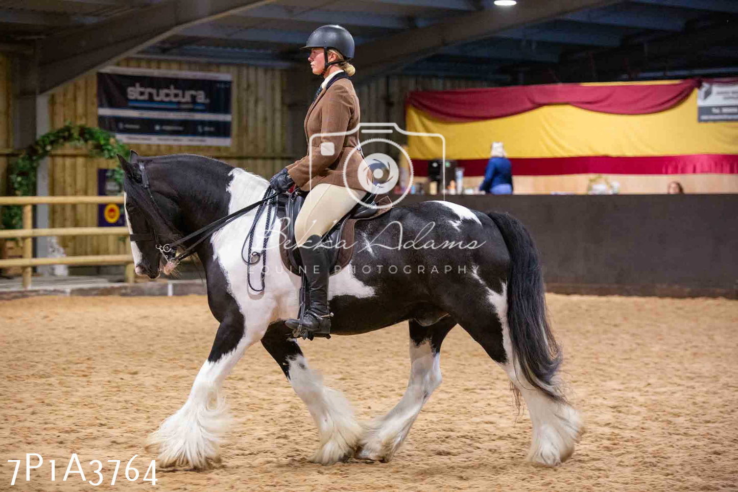 Home Farm Funshine Show 2024 - Ridden Showing 15th September