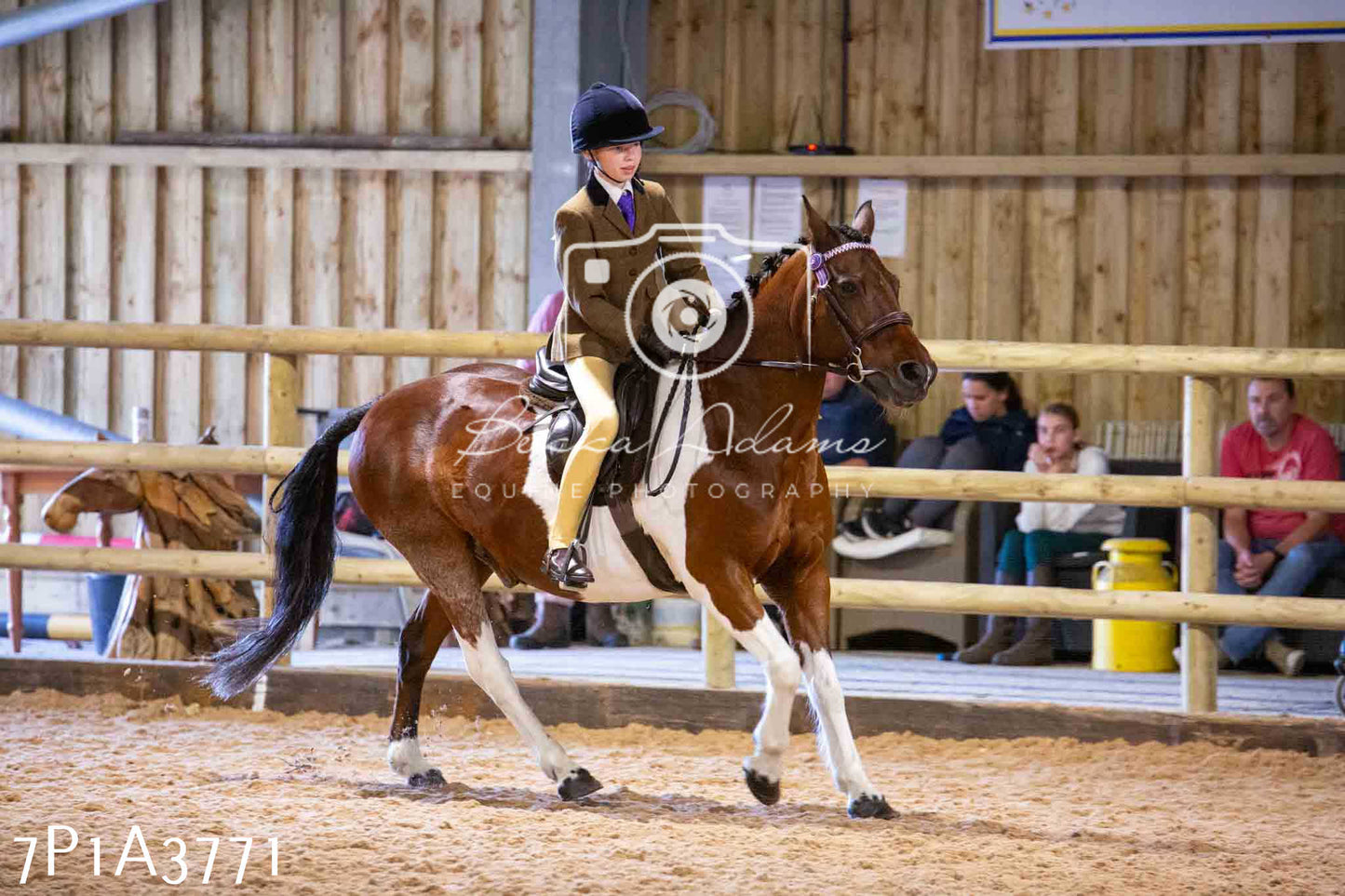 Home Farm Funshine Show 2024 - Ridden Showing 15th September