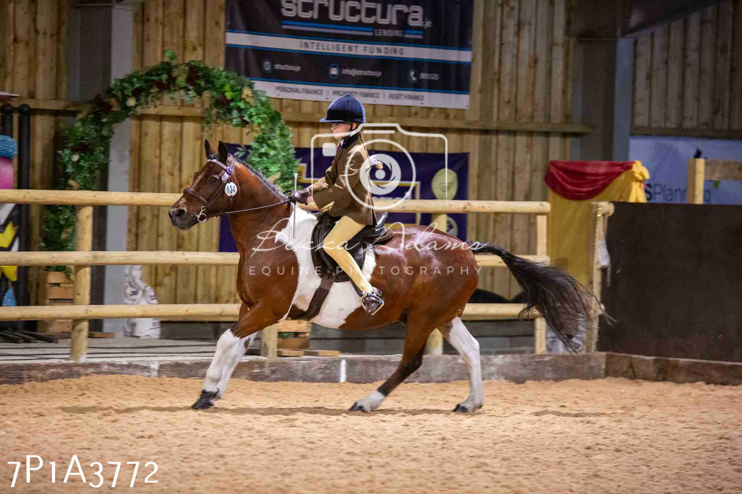 Home Farm Funshine Show 2024 - Ridden Showing 15th September