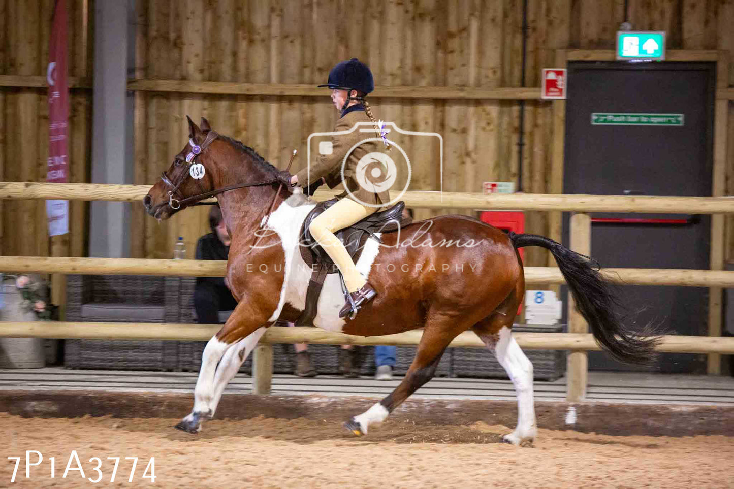 Home Farm Funshine Show 2024 - Ridden Showing 15th September