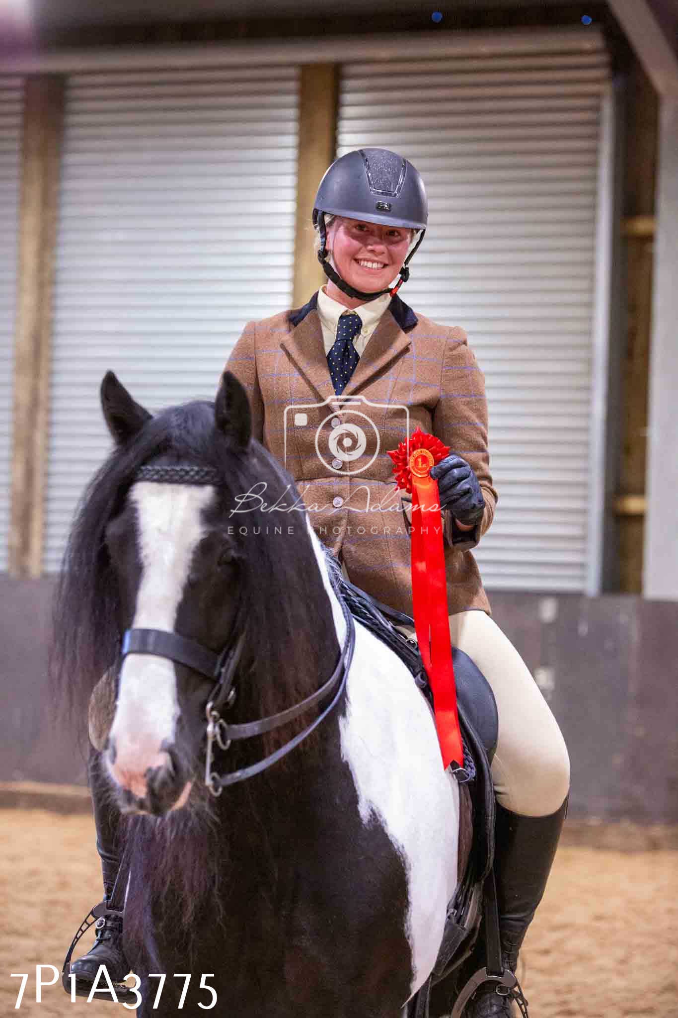 Home Farm Funshine Show 2024 - Ridden Showing 15th September