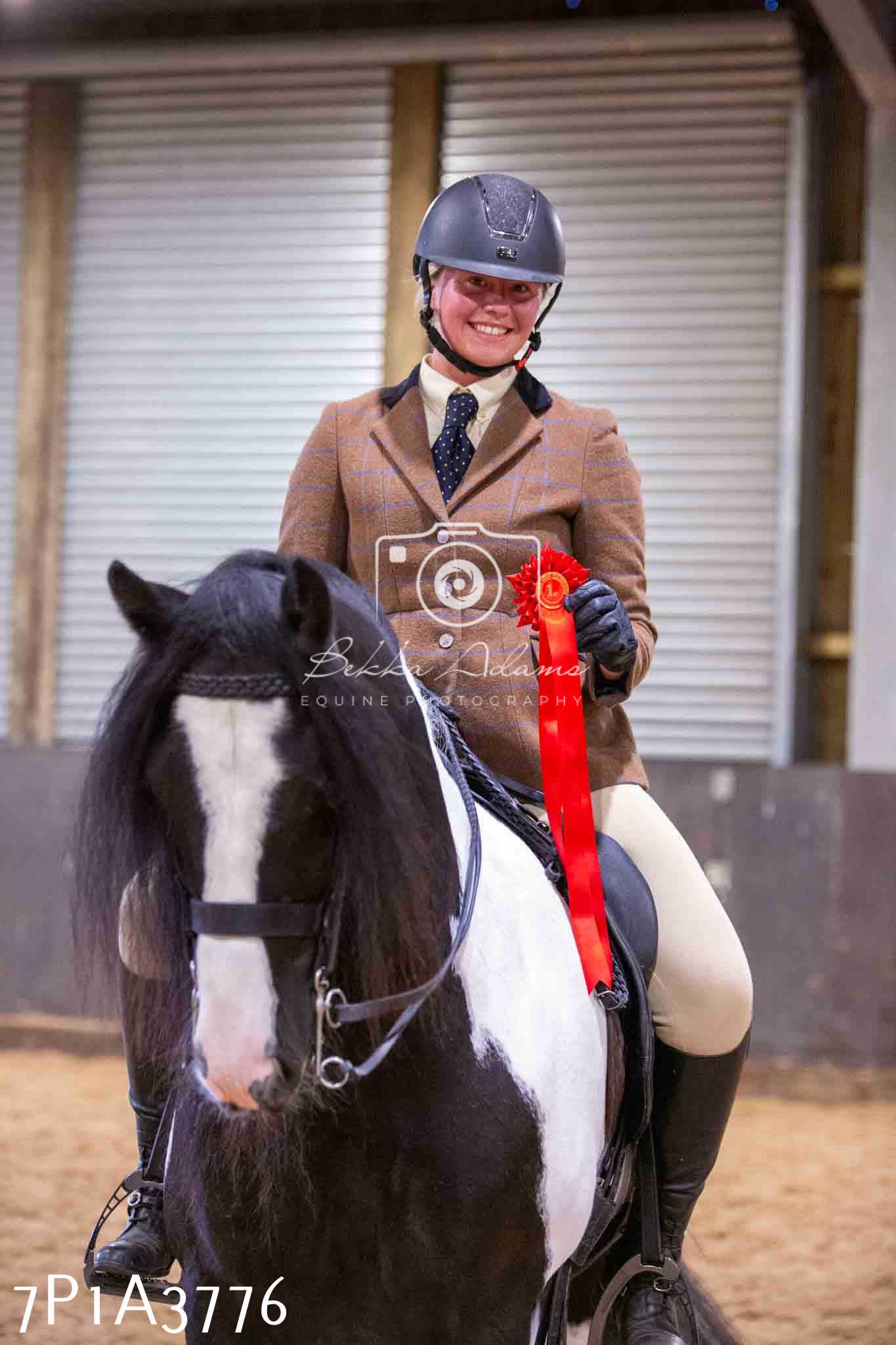 Home Farm Funshine Show 2024 - Ridden Showing 15th September