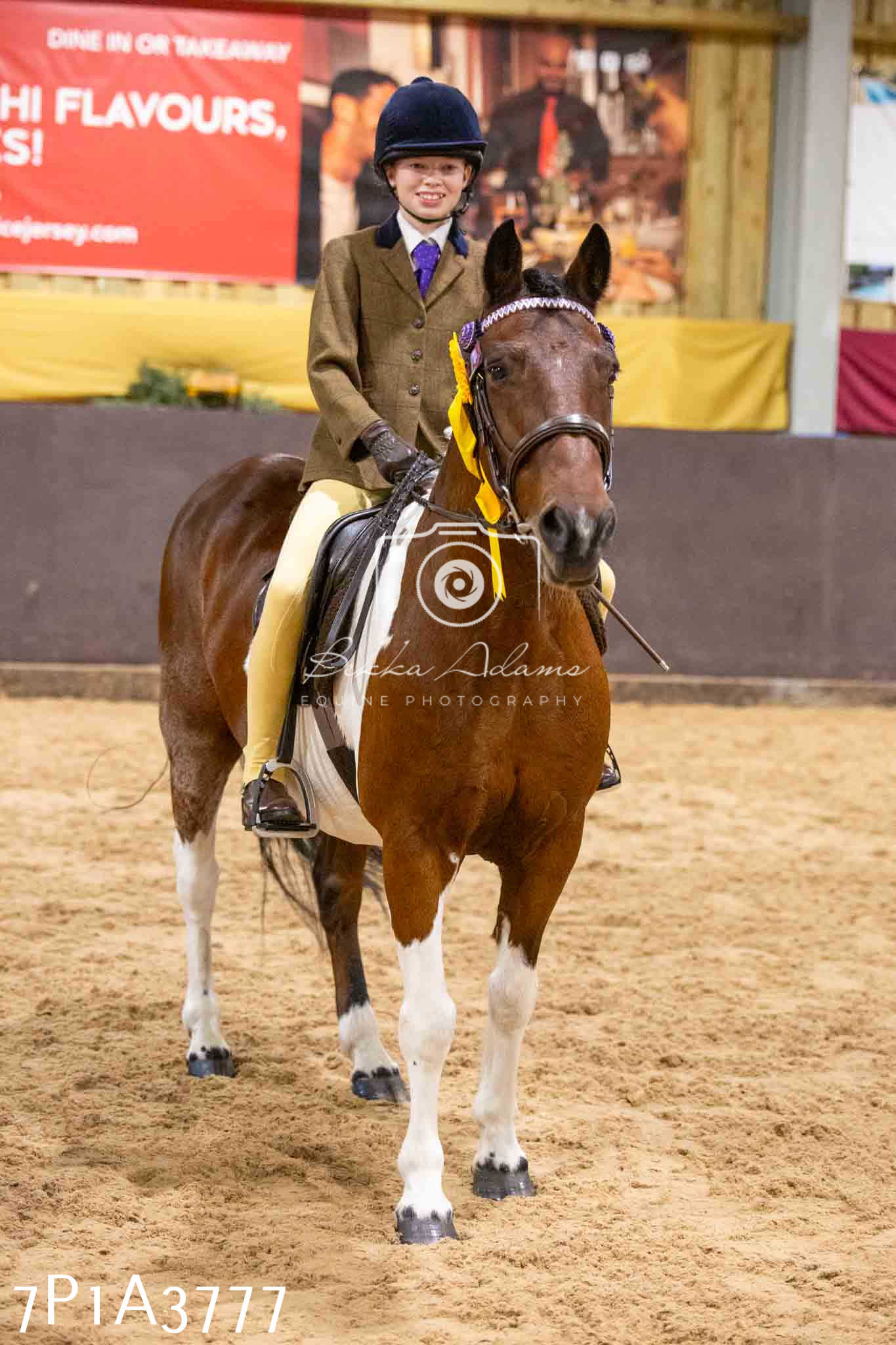 Home Farm Funshine Show 2024 - Ridden Showing 15th September