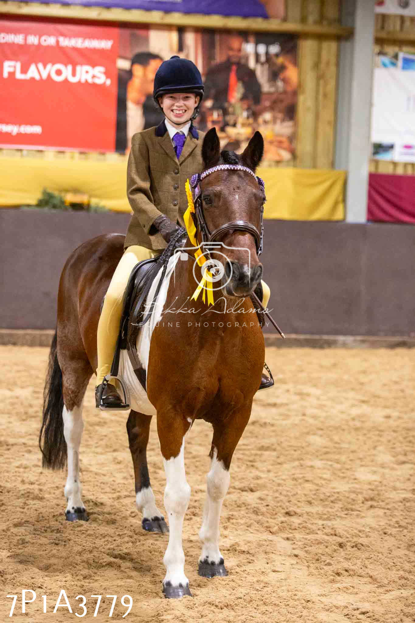 Home Farm Funshine Show 2024 - Ridden Showing 15th September