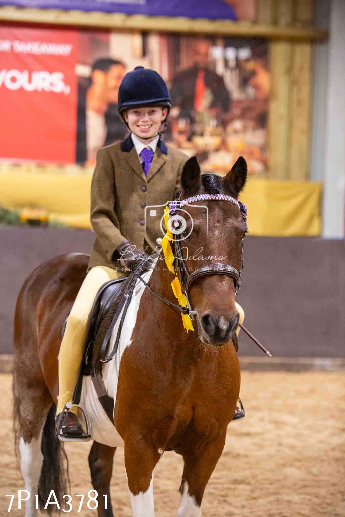 Home Farm Funshine Show 2024 - Ridden Showing 15th September