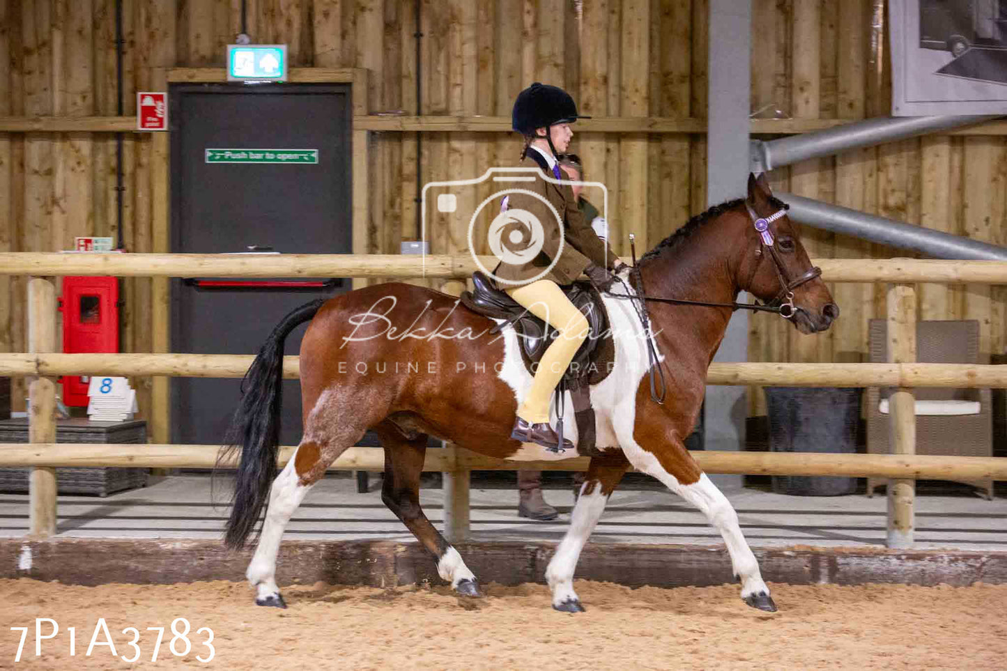 Home Farm Funshine Show 2024 - Ridden Showing 15th September