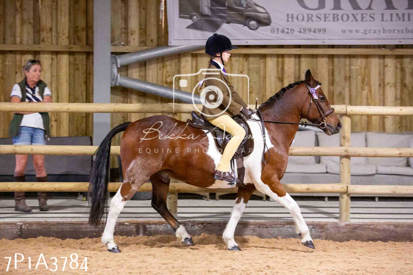 Home Farm Funshine Show 2024 - Ridden Showing 15th September