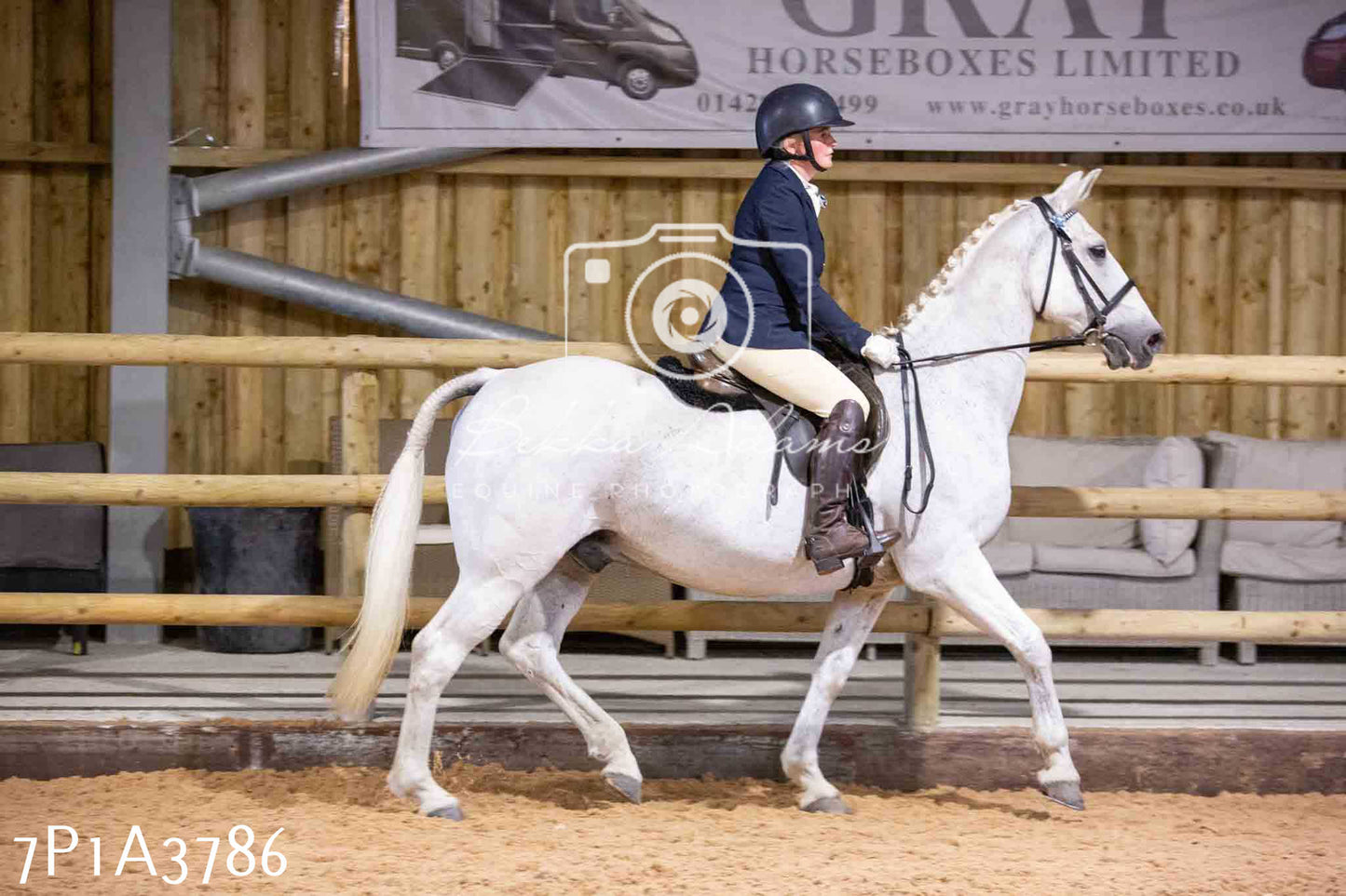 Home Farm Funshine Show 2024 - Ridden Showing 15th September