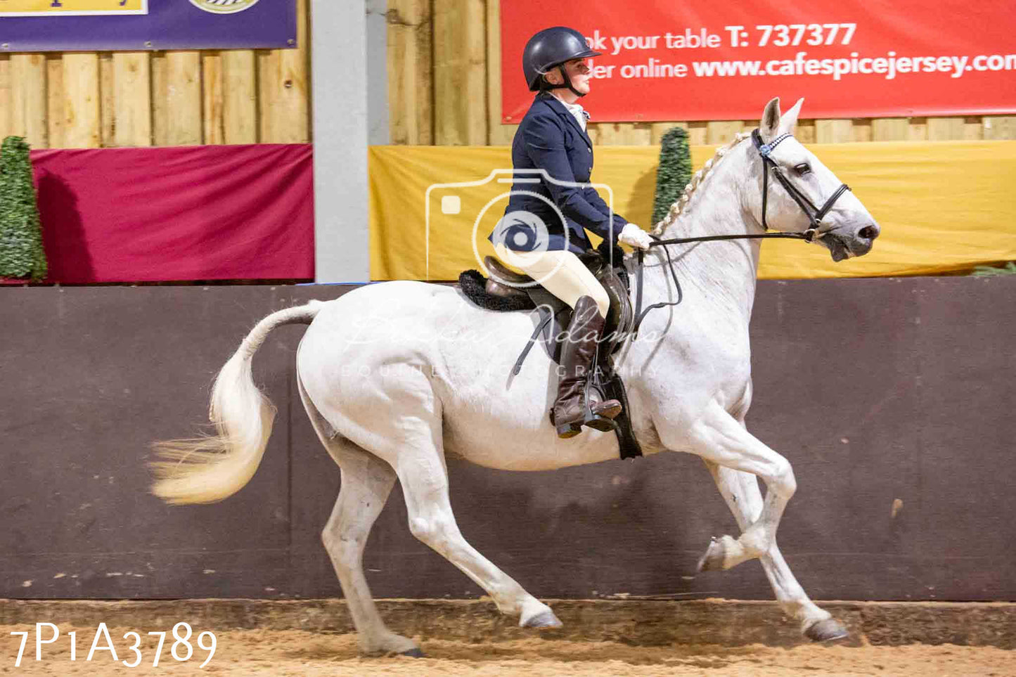 Home Farm Funshine Show 2024 - Ridden Showing 15th September